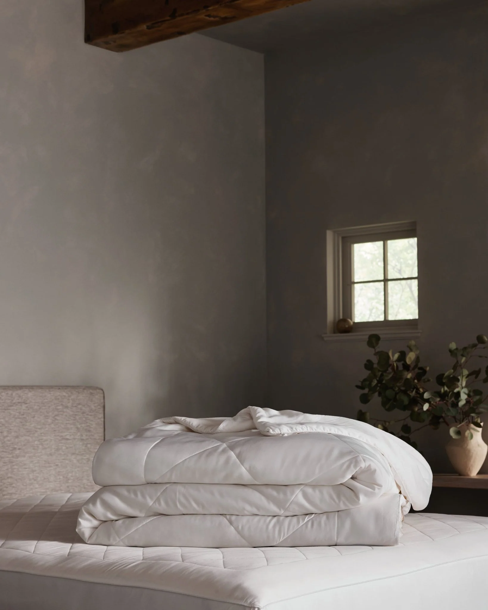 Product image 100