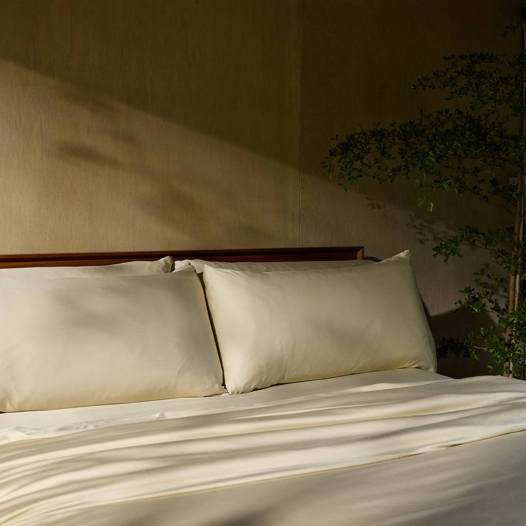 Product image 145